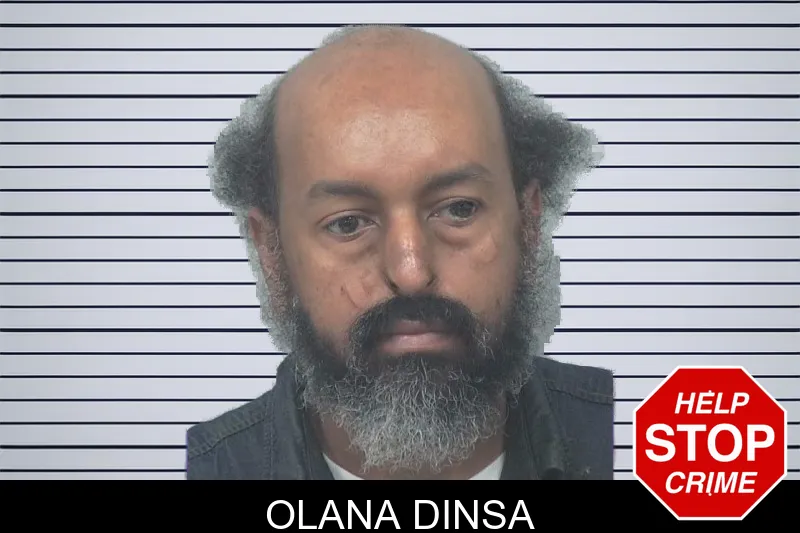 Olana Dinsa mugshot