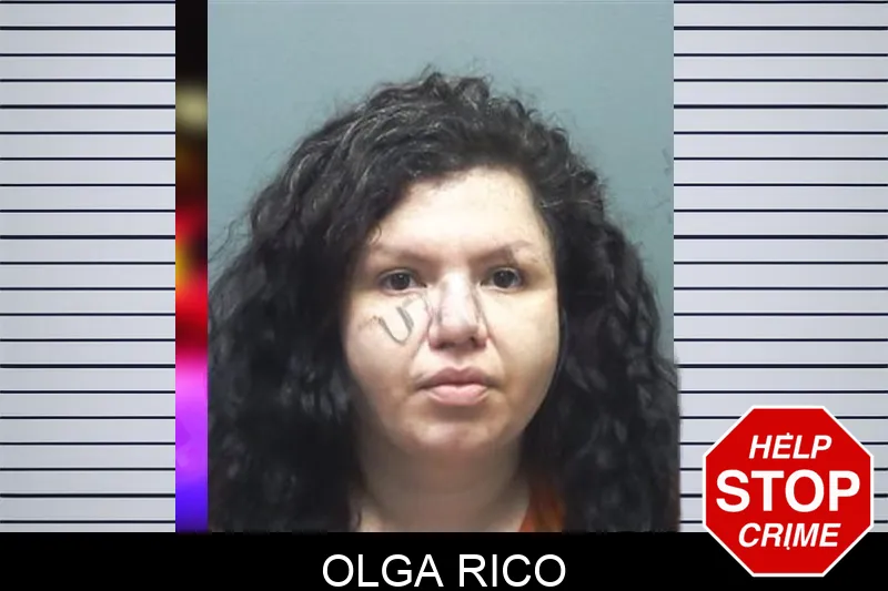 Olga Rico mugshot – Cherokee County , Georgia Olga Rico mugshot