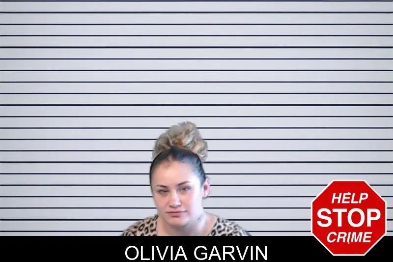 Olivia Garvin mugshot – DeKalb County , Georgia Olivia Garvin mugshot
