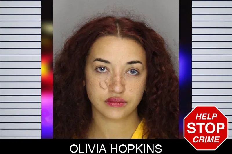 Olivia Hopkins mugshot – Cobb County , Georgia Olivia Hopkins mugshot