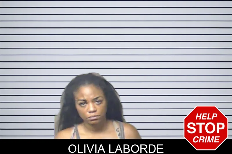 Olivia Laborde mugshot – DeKalb County , Georgia Olivia Laborde mugshot