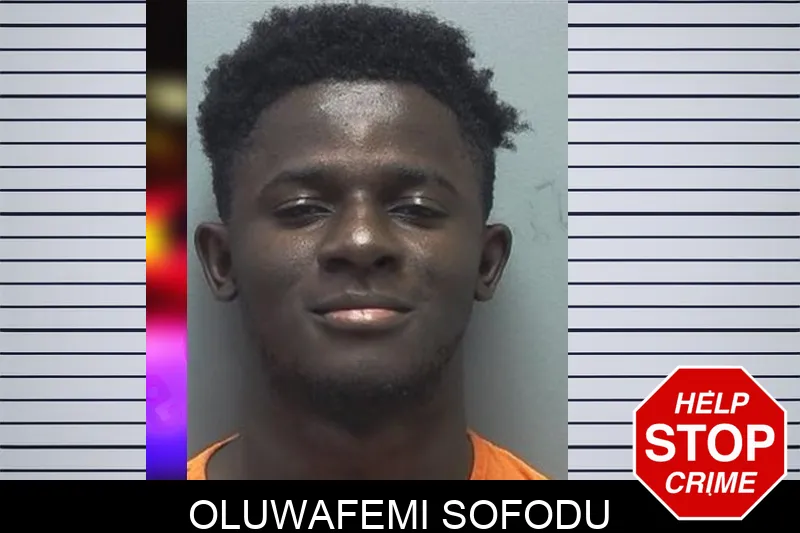 Oluwafemi Sofodu mugshot – Cherokee County , Georgia Oluwafemi Sofodu mugshot