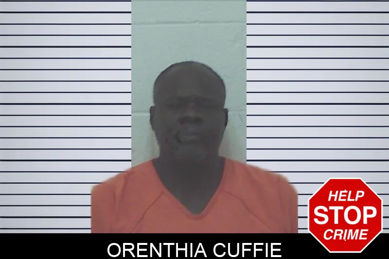 Orenthia Cuffie mugshot – Worth County , Georgia Orenthia Cuffie mugshot