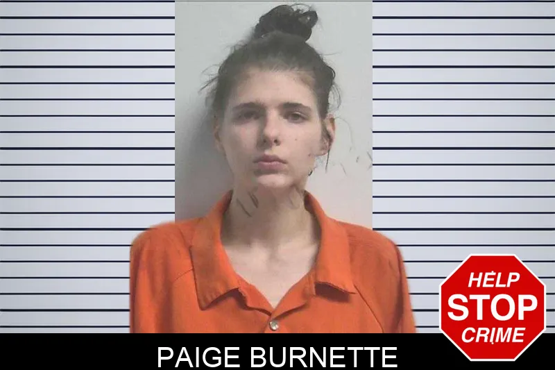 Paige Burnette mugshot – Colquitt County , Georgia Paige Burnette mugshot