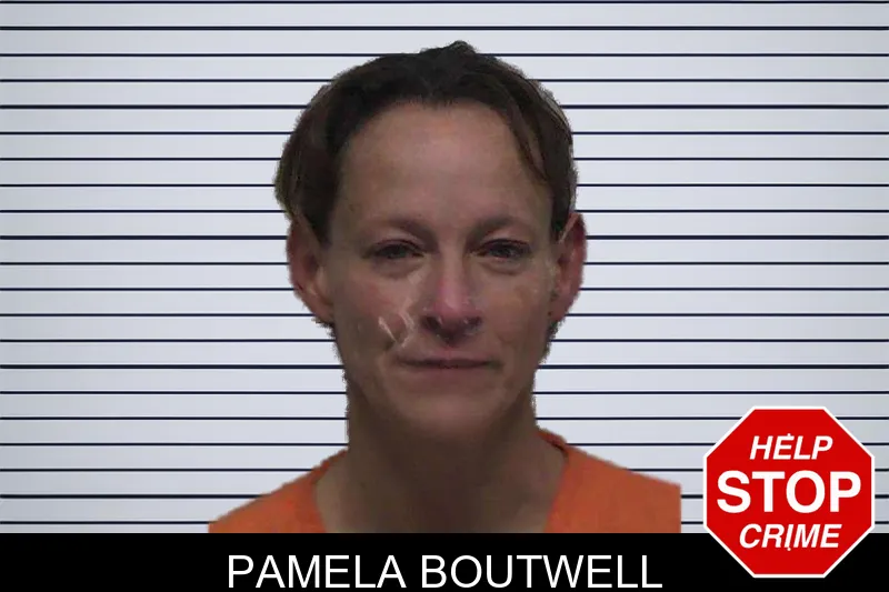 Pamela Boutwell mugshot – Laurens County , Georgia Pamela Boutwell mugshot