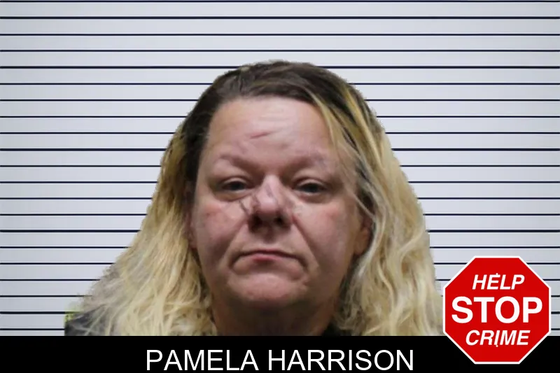 Pamela Harrison mugshot