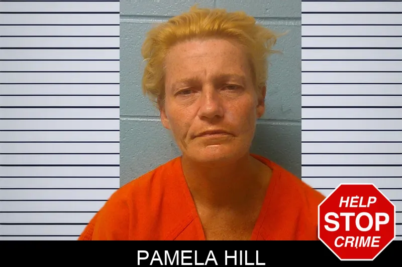 Pamela Hill mugshot – Franklin County , Georgia Pamela Hill mugshot
