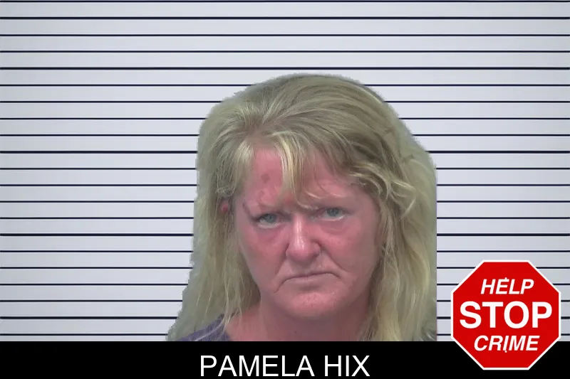 Pamela Hix mugshot