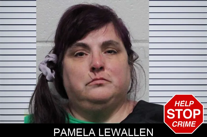 Pamela Lewallen mugshot – Habersham County , Georgia Pamela Lewallen mugshot