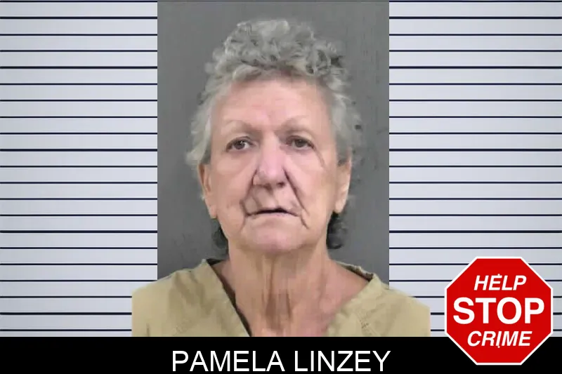 Pamela Linzey mugshot – Gordon County , Georgia Pamela Linzey mugshot