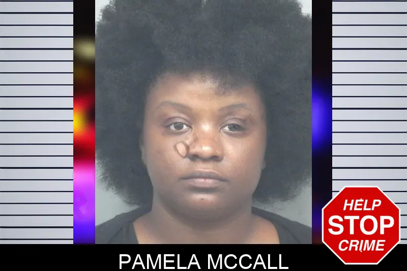 Pamela McCall mugshot