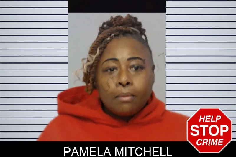 Pamela Mitchell mugshot – Bibb County , Georgia Pamela Mitchell mugshot
