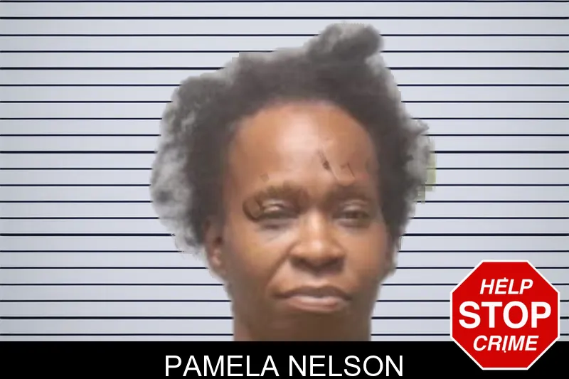 Pamela Nelson mugshot