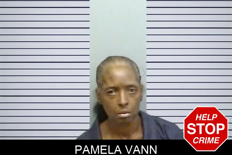 Pamela Vann mugshot – Fulton County , Georgia Pamela Vann mugshot