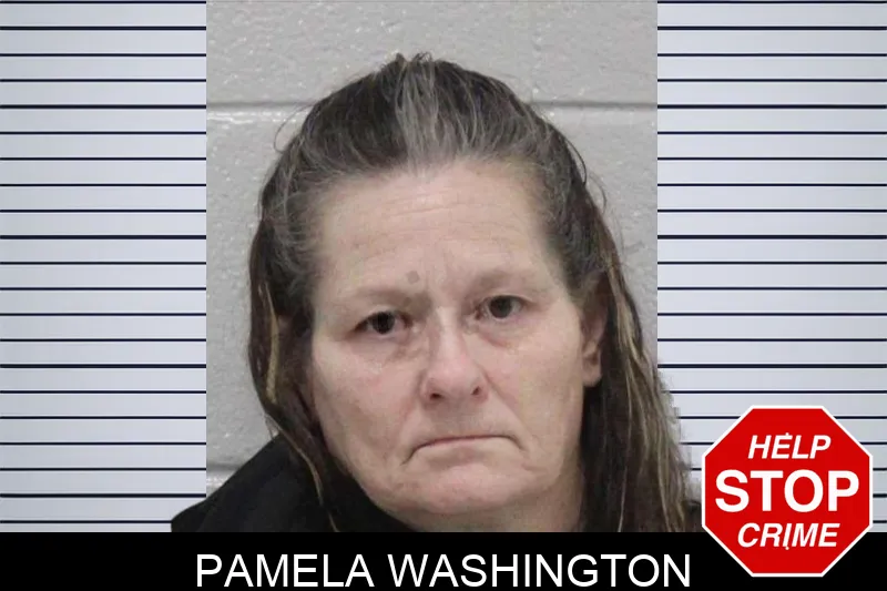 Pamela Washington mugshot