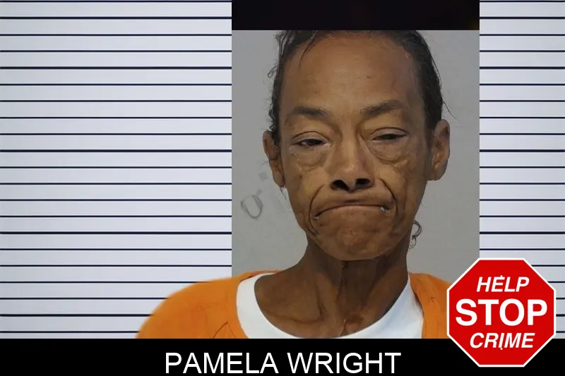 Pamela Wright mugshot – Bibb County , Georgia Pamela Wright mugshot