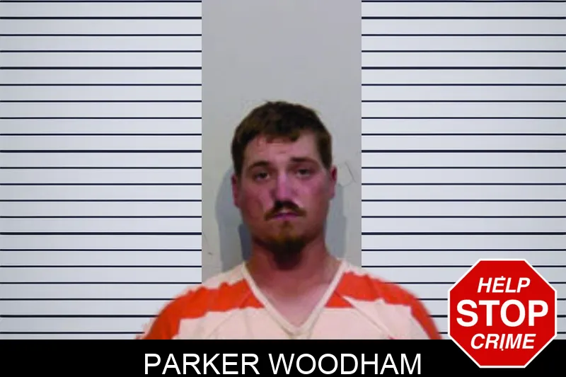 Parker Woodham mugshot – Bartow County , Georgia Parker Woodham mugshot