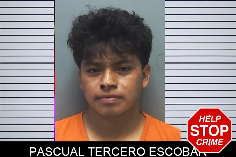 Pascual Tercero Escobar mugshot – Cherokee County , Georgia Pascual Tercero Escobar mugshot