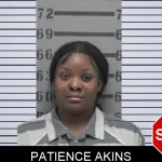Patience Akins mugshot