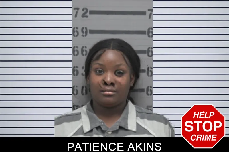 Patience Akins mugshot – Dougherty County , Georgia Patience Akins mugshot