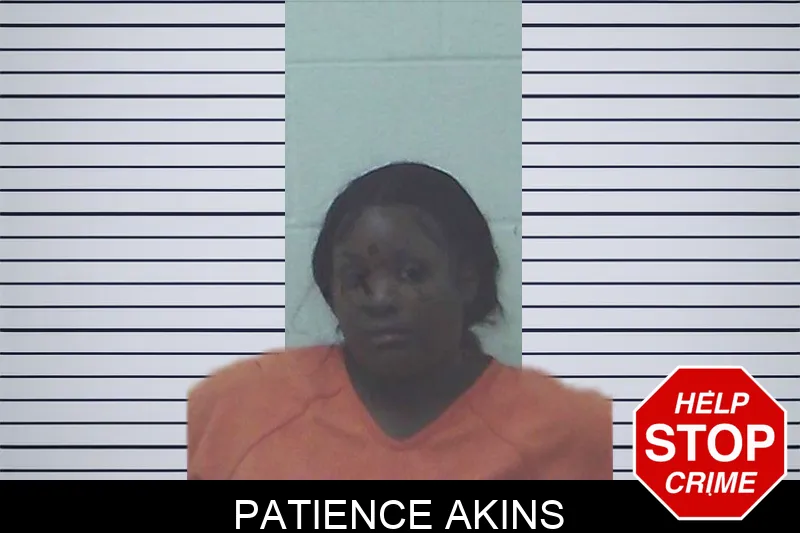 Patience Akins mugshot – Worth County , Georgia Patience Akins mugshot