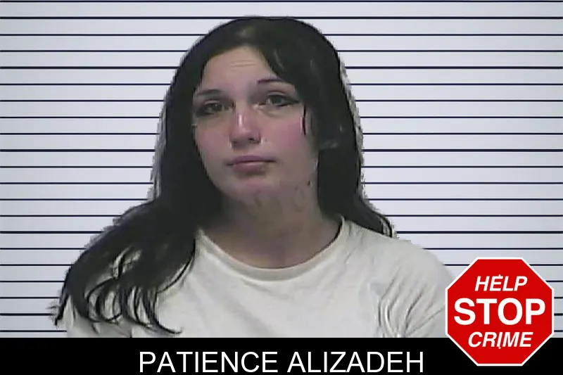 Patience Alizadeh mugshot – Dawson County , Georgia Patience Alizadeh mugshot