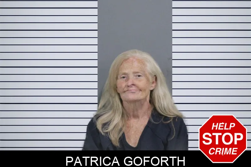 Patrica Goforth mugshot – Catoosa County , Georgia Patrica Goforth mugshot
