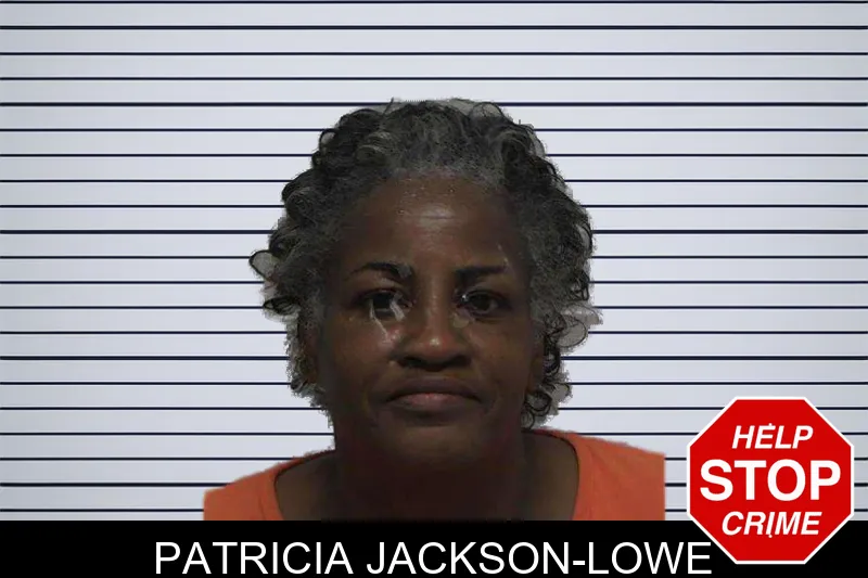 Patricia Jackson-Lowe mugshot – Laurens County , Georgia Patricia Jackson-Lowe mugshot