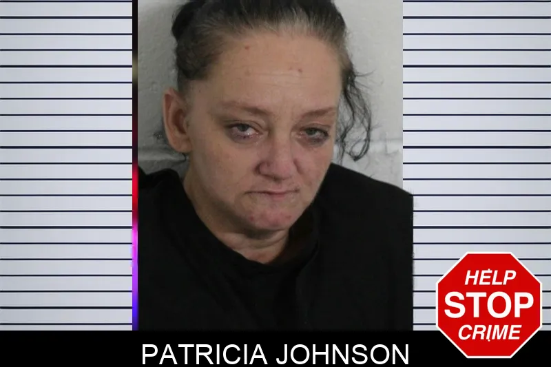 Patricia Johnson mugshot – Floyd County , Georgia Patricia Johnson mugshot
