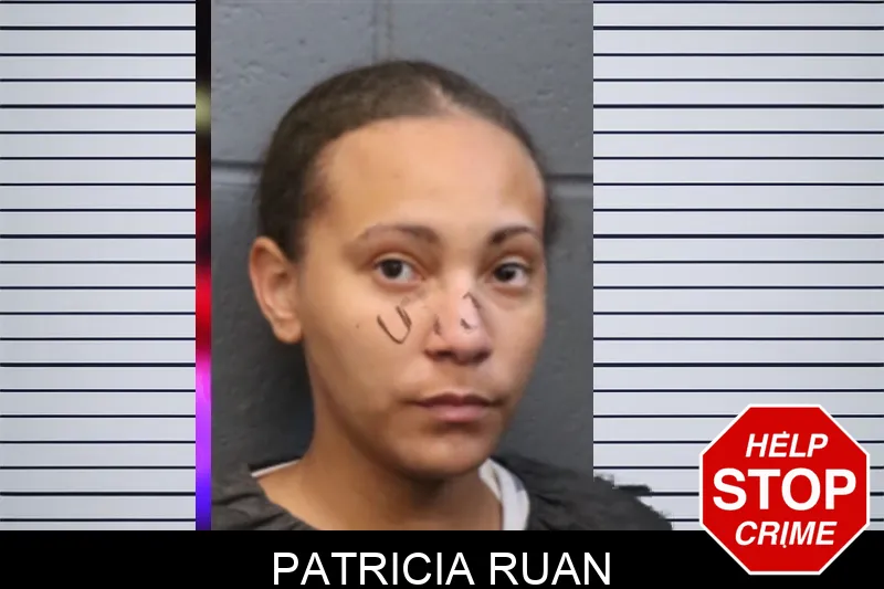 Patricia Ruan mugshot – Forsyth County , Georgia Patricia Ruan mugshot