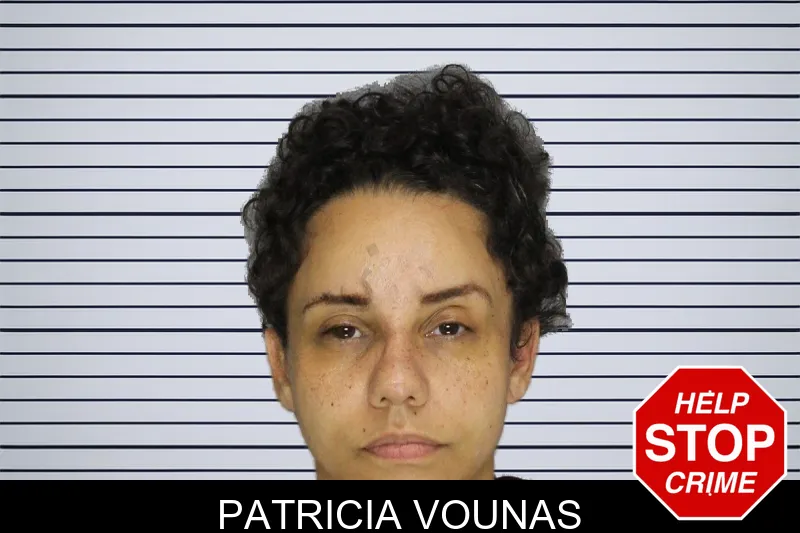 Patricia Vounas mugshot – Cobb County , Georgia Patricia Vounas mugshot