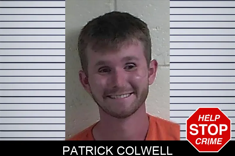 Patrick Colwell mugshot – Fannin County , Georgia Patrick Colwell mugshot