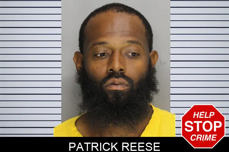 Patrick Reese mugshot