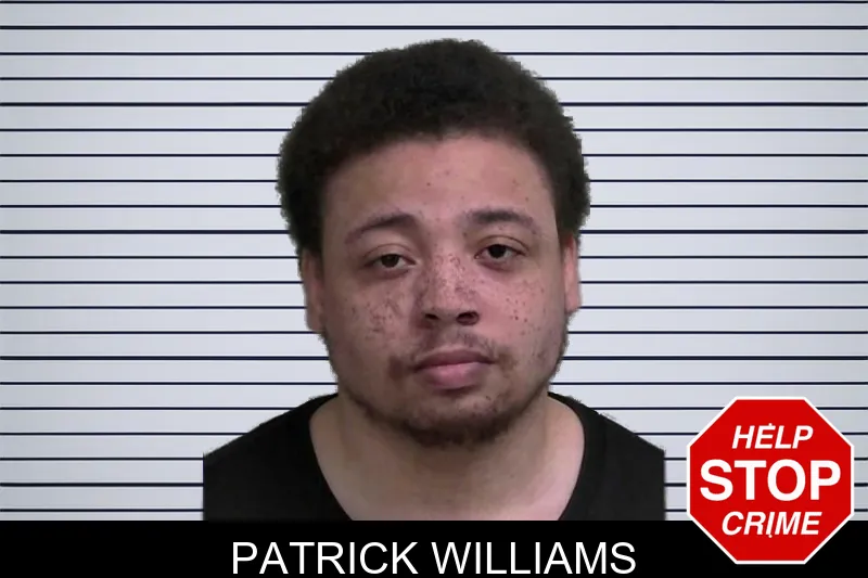 Patrick Williams mugshot – Wayne County , Georgia Patrick Williams mugshot