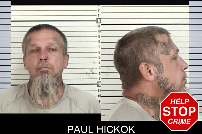 Paul Hickok mugshot – Camden County , Georgia Paul Hickok mugshot