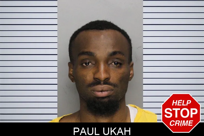 Paul Ukah mugshot
