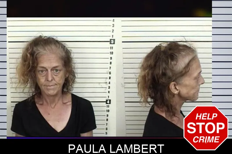 Paula Lambert mugshot – Camden County , Georgia Paula Lambert mugshot