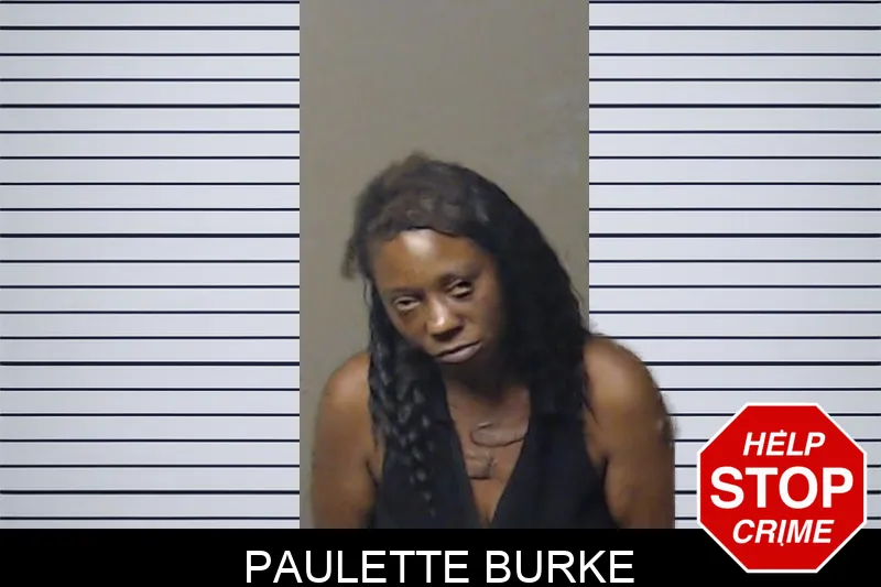 Paulette Burke mugshot – DeKalb County , Georgia Paulette Burke mugshot