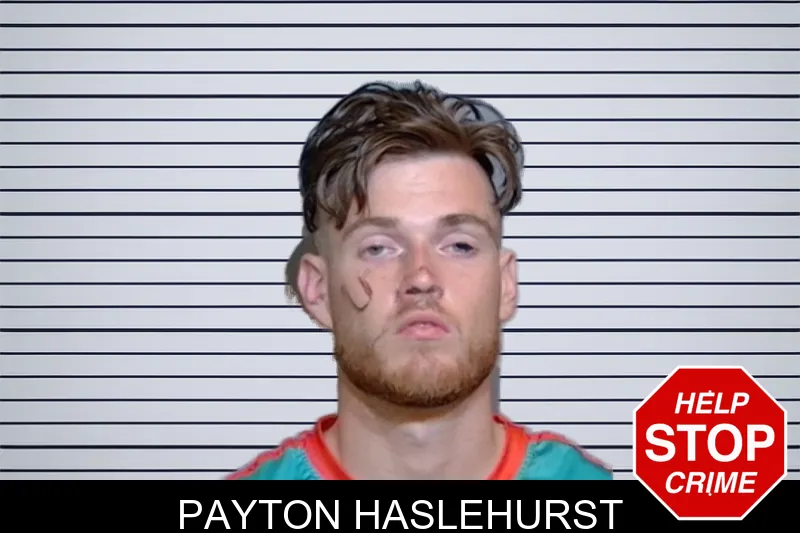 Payton Haslehurst mugshot – Glynn County , Georgia Payton Haslehurst mugshot