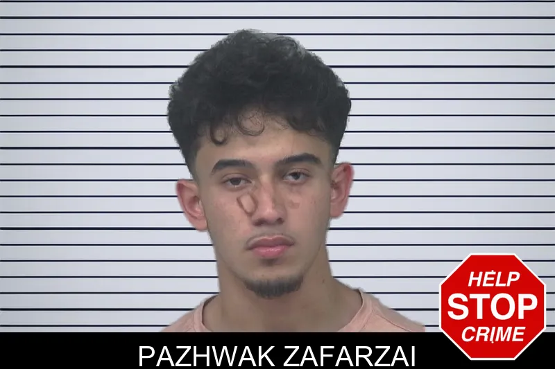 Pazhwak Zafarzai mugshot – Gwinnett County , Georgia Pazhwak Zafarzai mugshot