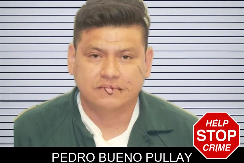 Pedro Bueno Pullay mugshot – Chatham County , Georgia Pedro Bueno Pullay mugshot
