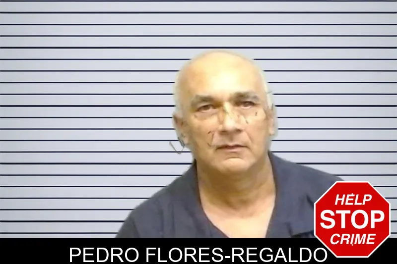 Pedro Flores-Regaldo mugshot