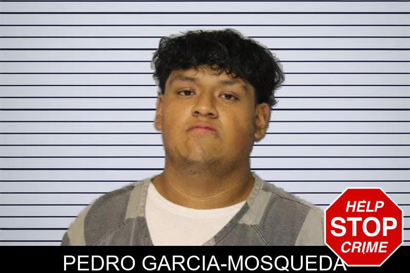 Pedro Garcia-Mosqueda mugshot – Hall County , Georgia Pedro Garcia-Mosqueda mugshot