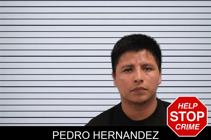 Pedro Hernandez mugshot – Grady County , Georgia Pedro Hernandez mugshot