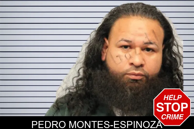 Pedro Montes-Espinoza mugshot – Chatham County , Georgia Pedro Montes-Espinoza mugshot