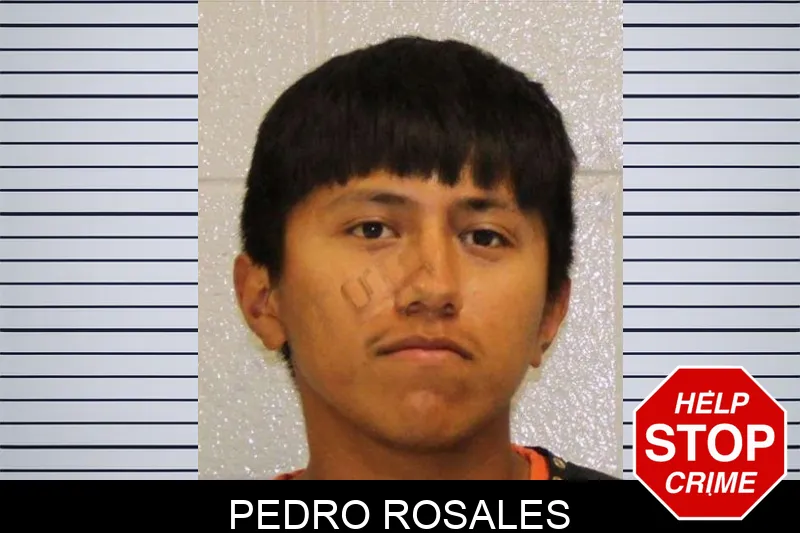 Pedro Rosales mugshot