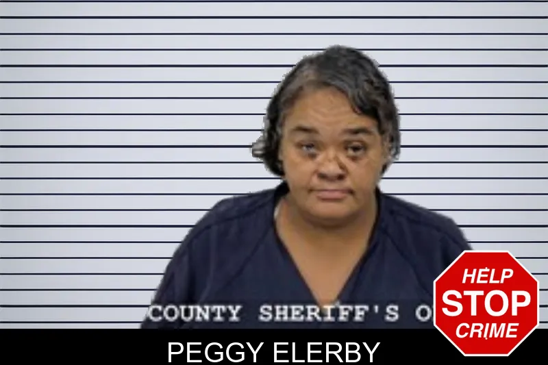 Peggy Elerby mugshot