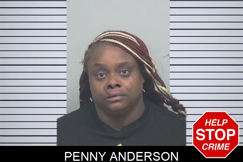 Penny Anderson mugshot – Gwinnett County , Georgia Penny Anderson mugshot