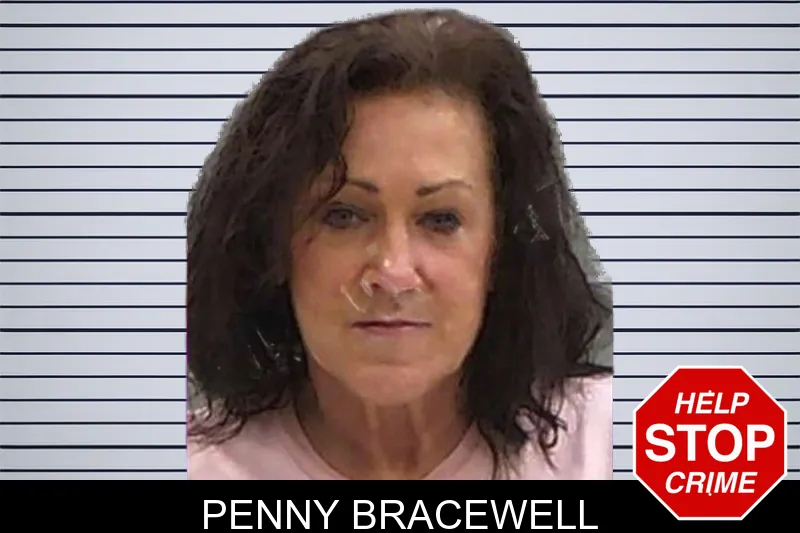 Penny Bracewell mugshot – Baldwin County , Georgia Penny Bracewell mugshot