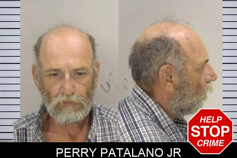 Perry Patalano Jr mugshot